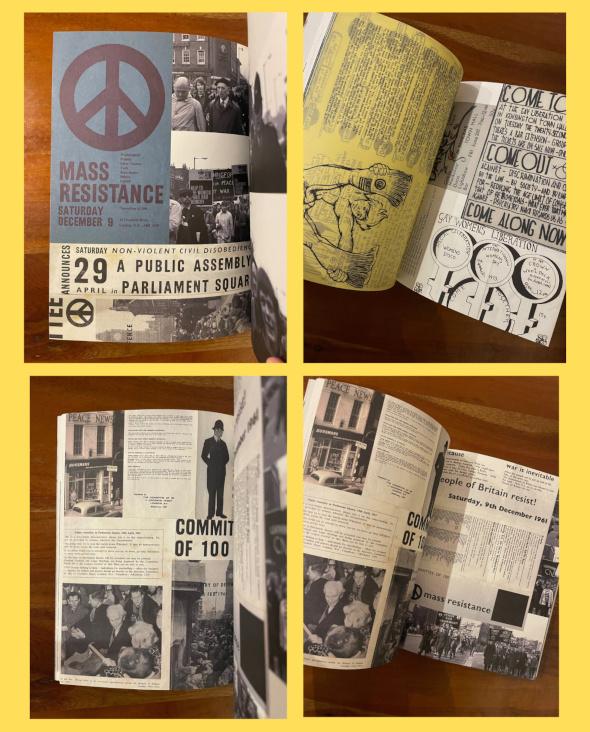 Peace Books Freedom Interior